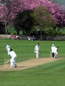 english cricket cricket