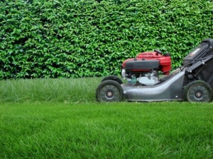 lawn mower