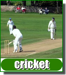 Performance Cricket grounds call Greenmaster 0800 027 6561