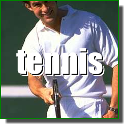 Tennis Court Maintenance Services